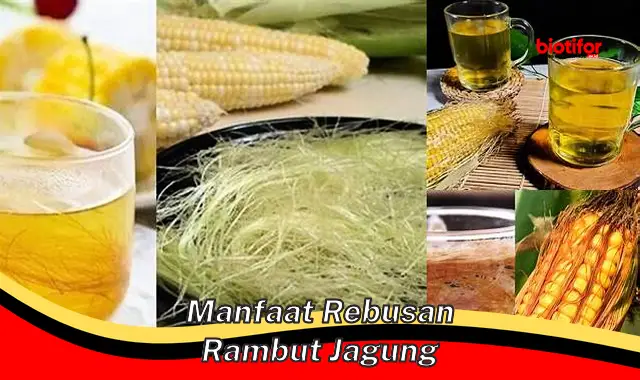 manfaat rebusan rambut jagung