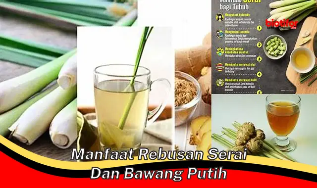 manfaat rebusan serai dan bawang putih