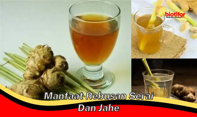 manfaat rebusan serai dan jahe