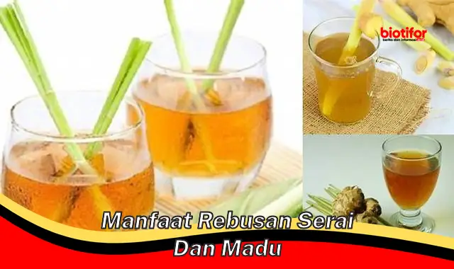 manfaat rebusan serai dan madu