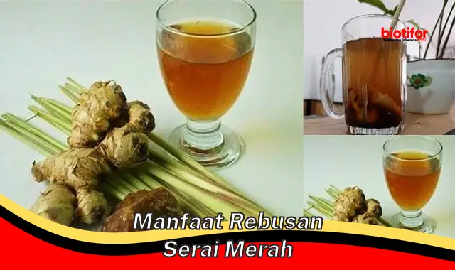 manfaat rebusan serai merah