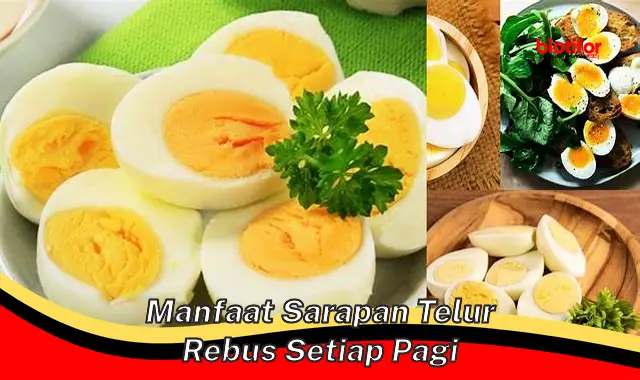 manfaat sarapan telur rebus setiap pagi