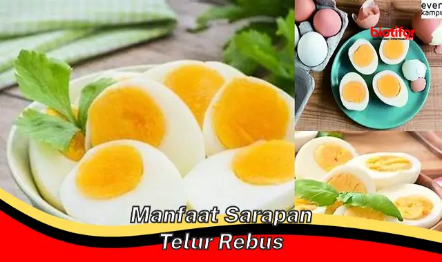 manfaat sarapan telur rebus