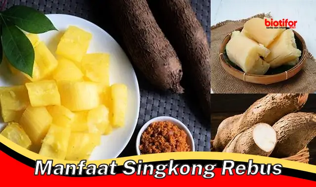 manfaat singkong rebus