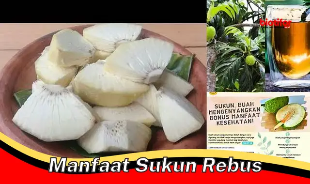 manfaat sukun rebus