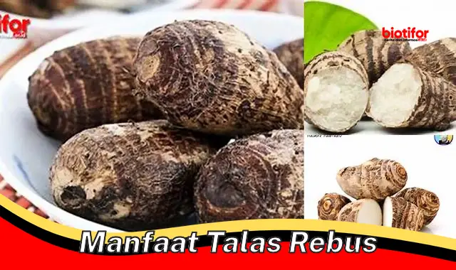 manfaat talas rebus