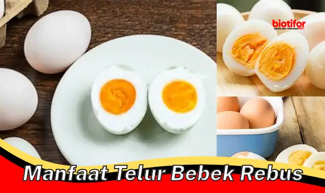 manfaat telur bebek rebus