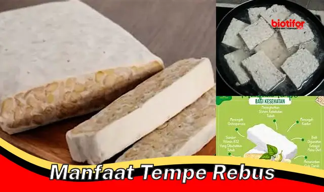 manfaat tempe rebus