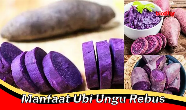 manfaat ubi ungu rebus