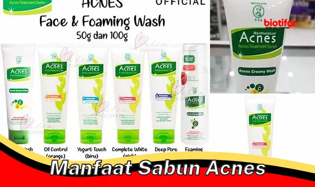 manfaat sabun acnes