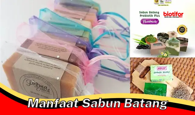 manfaat sabun batang