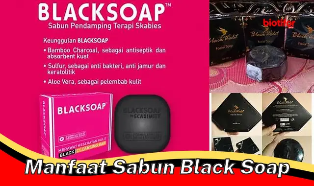 manfaat sabun black soap