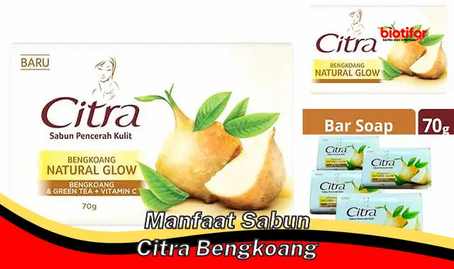 manfaat sabun citra bengkoang