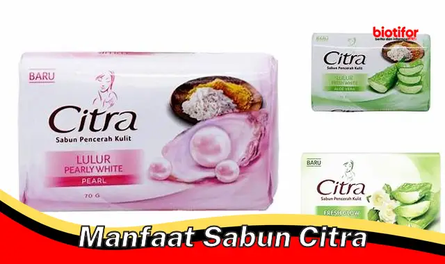 manfaat sabun citra