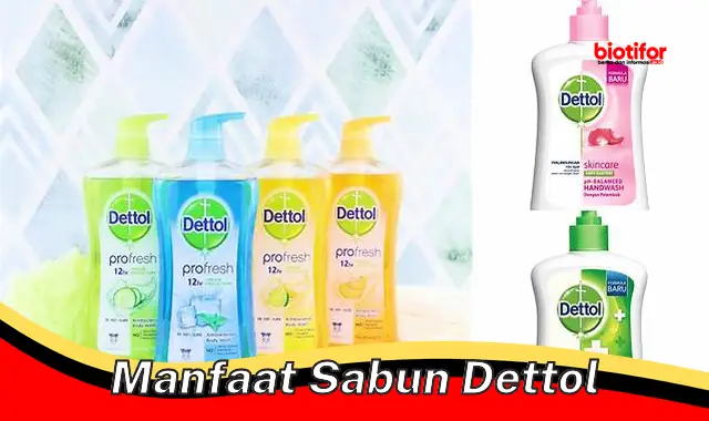 manfaat sabun dettol