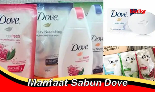 manfaat sabun dove