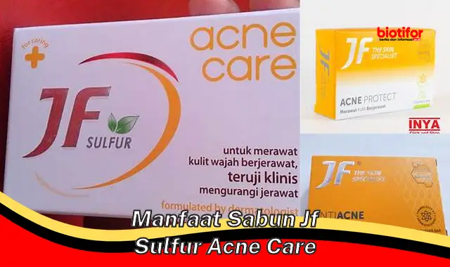 manfaat sabun jf sulfur acne care