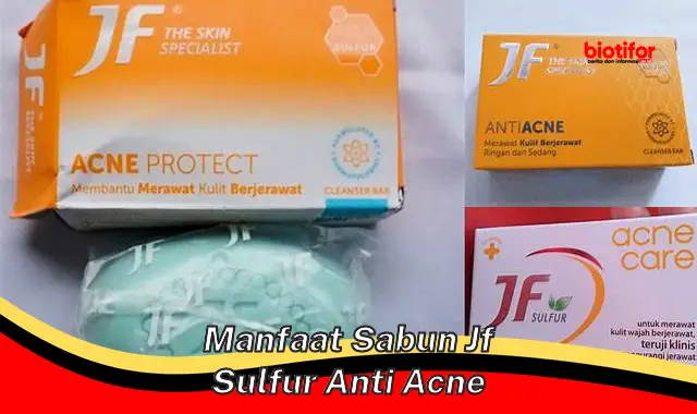 manfaat sabun jf sulfur anti acne