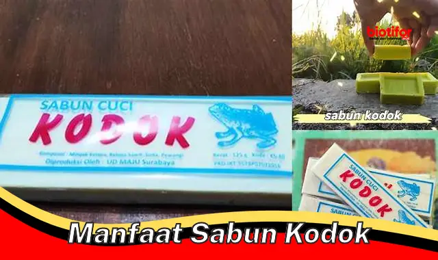 manfaat sabun kodok