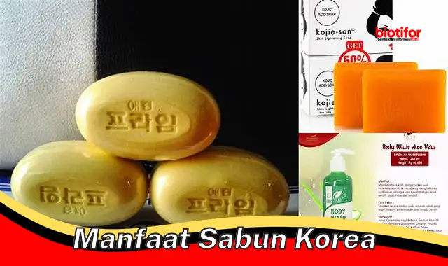 manfaat sabun korea