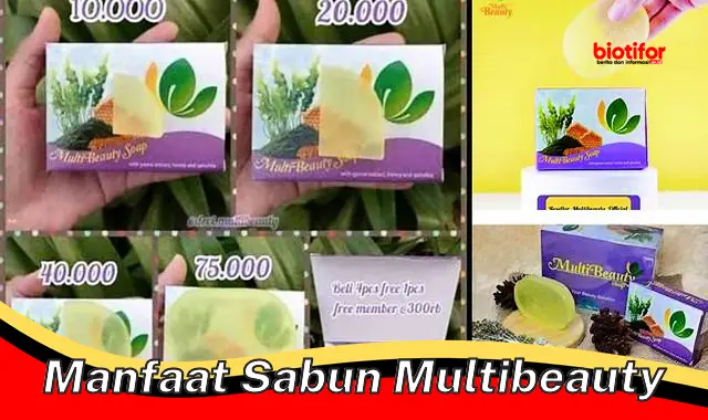 Temukan Manfaat Sabun Multibeauty yang Jarang Diketahui