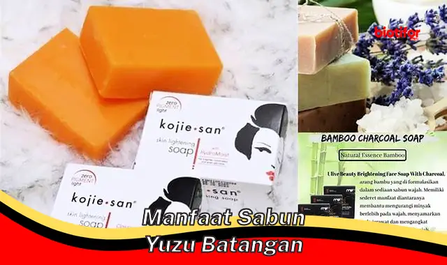 manfaat sabun yuzu batangan