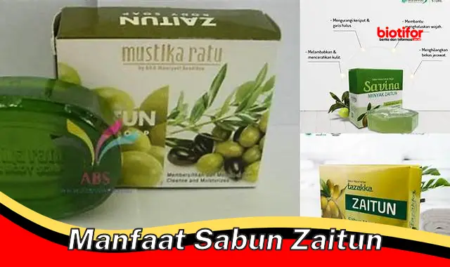 manfaat sabun zaitun