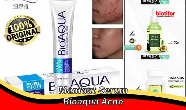 manfaat serum bioaqua acne