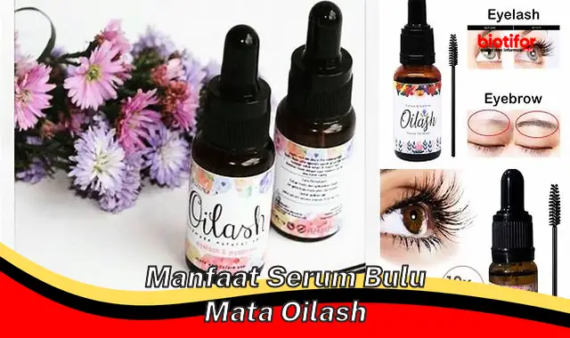 manfaat serum bulu mata oilash