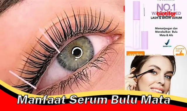 manfaat serum bulu mata