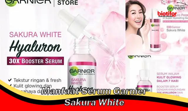 manfaat serum garnier sakura white