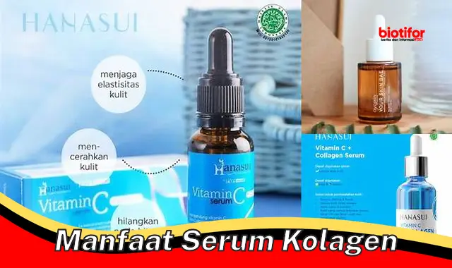 manfaat serum kolagen