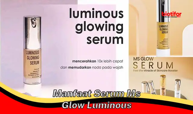 manfaat serum ms glow luminous