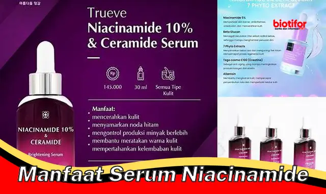 manfaat serum niacinamide