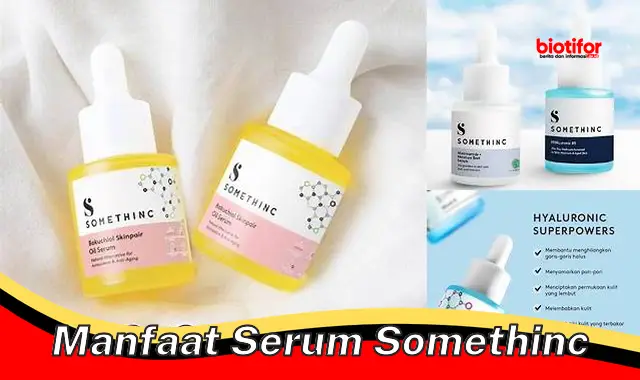 manfaat serum somethinc