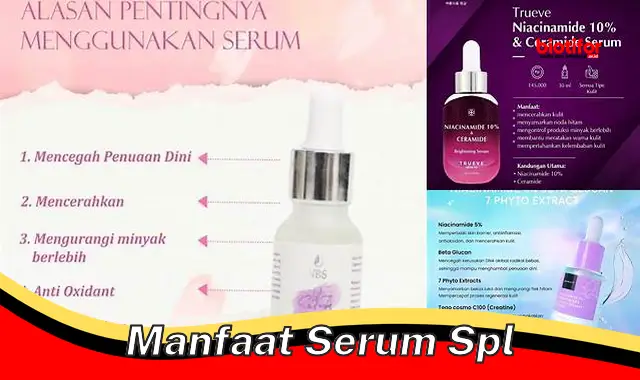 manfaat serum spl