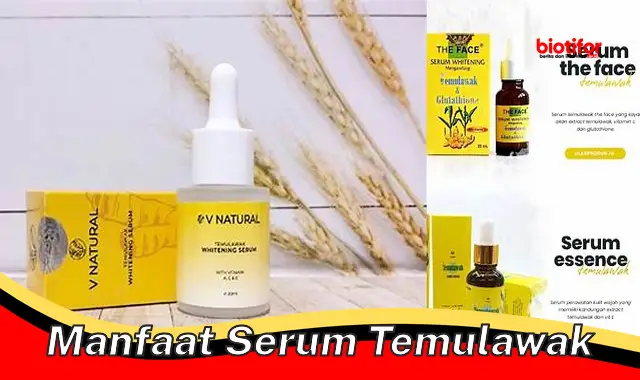 manfaat serum temulawak