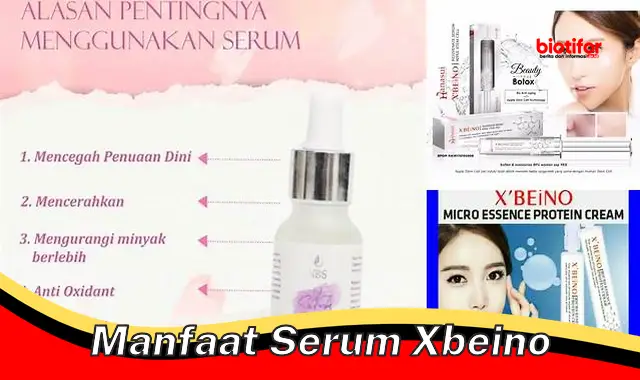 manfaat serum xbeino