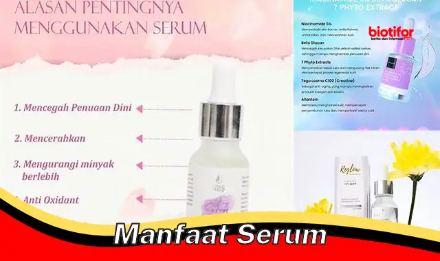 Temukan Manfaat Serum yang Jarang Diketahui