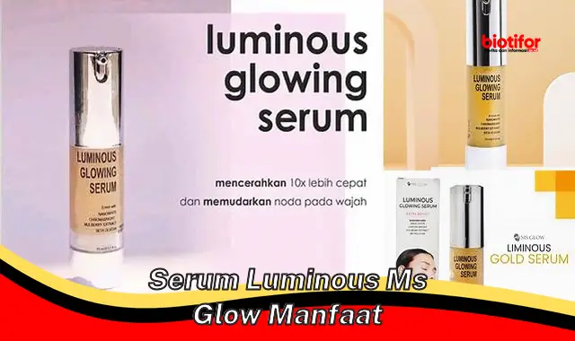 Temukan 5 Manfaat Serum Luminous MS Glow yang Jarang Diketahui - Biotifor