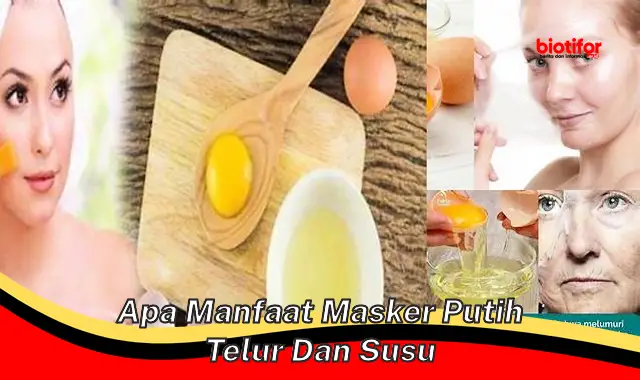 apa manfaat masker putih telur dan susu