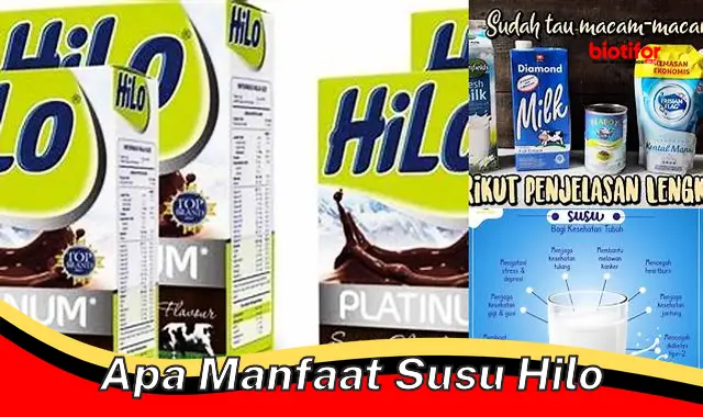 Temukan 5 Manfaat Susu Hilo yang Jarang Diketahui - Biotifor