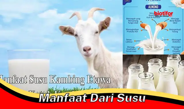 Temukan Manfaat Susu Entrasol Yang Jarang Diketahui Biotifor 