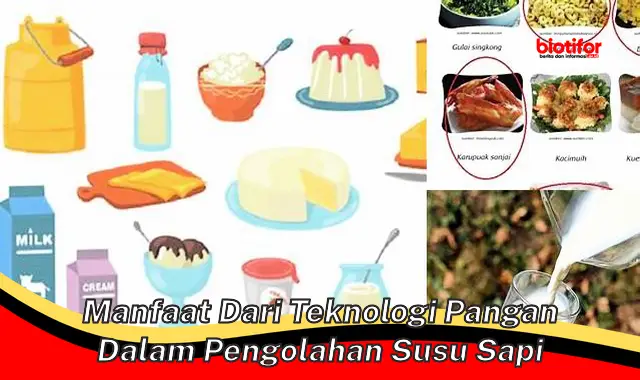 manfaat dari teknologi pangan dalam pengolahan susu sapi