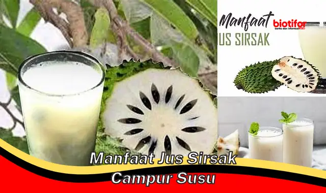 manfaat jus sirsak campur susu