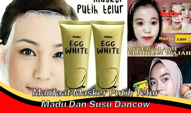 manfaat masker putih telur madu dan susu dancow