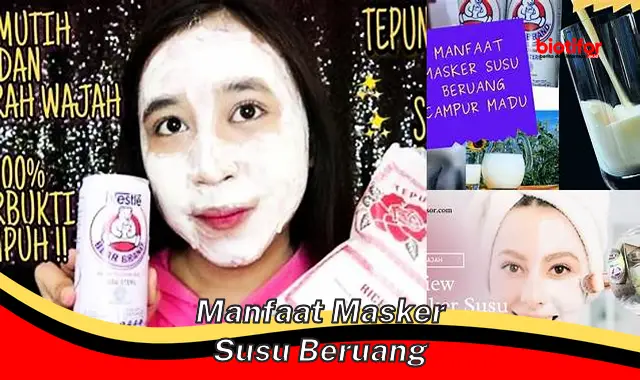 manfaat masker susu beruang