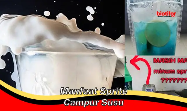 manfaat sprite campur susu