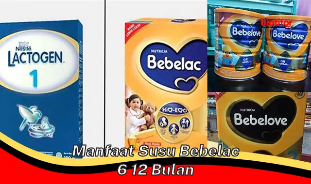 manfaat susu bebelac 6 12 bulan