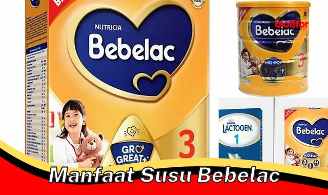 manfaat susu bebelac